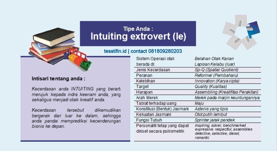 STIFIn Intuiting extrovert