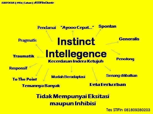 Tes STIFIn Insting 081809280203