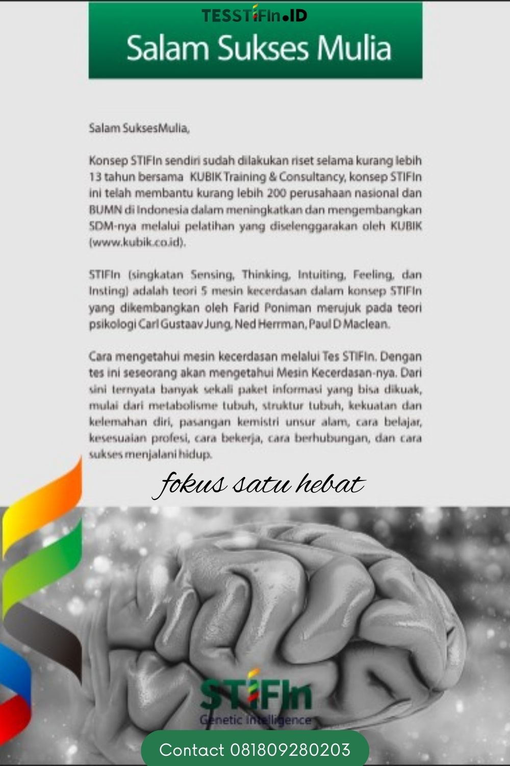 Apa yang Dimaksud dengan STIFIn tesstifin.id 081809280203