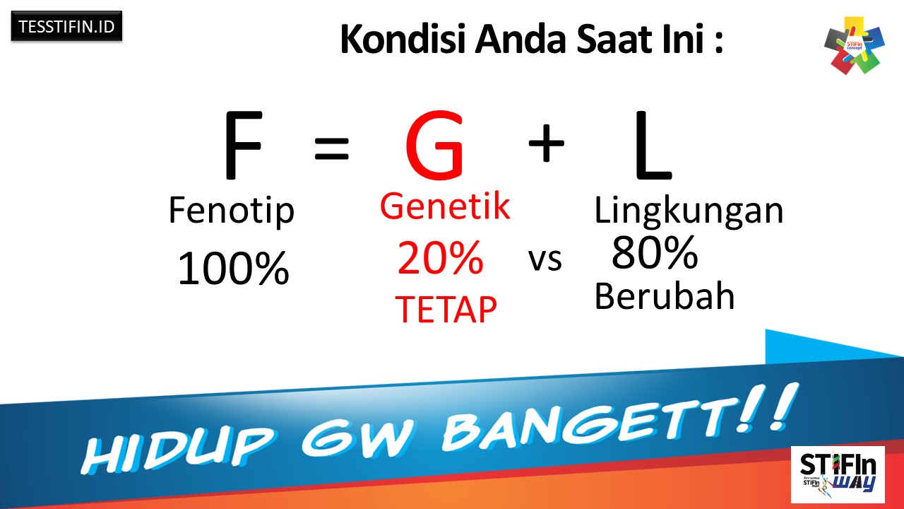Konsep STIFIn - Kondisi Anda Saat Ini