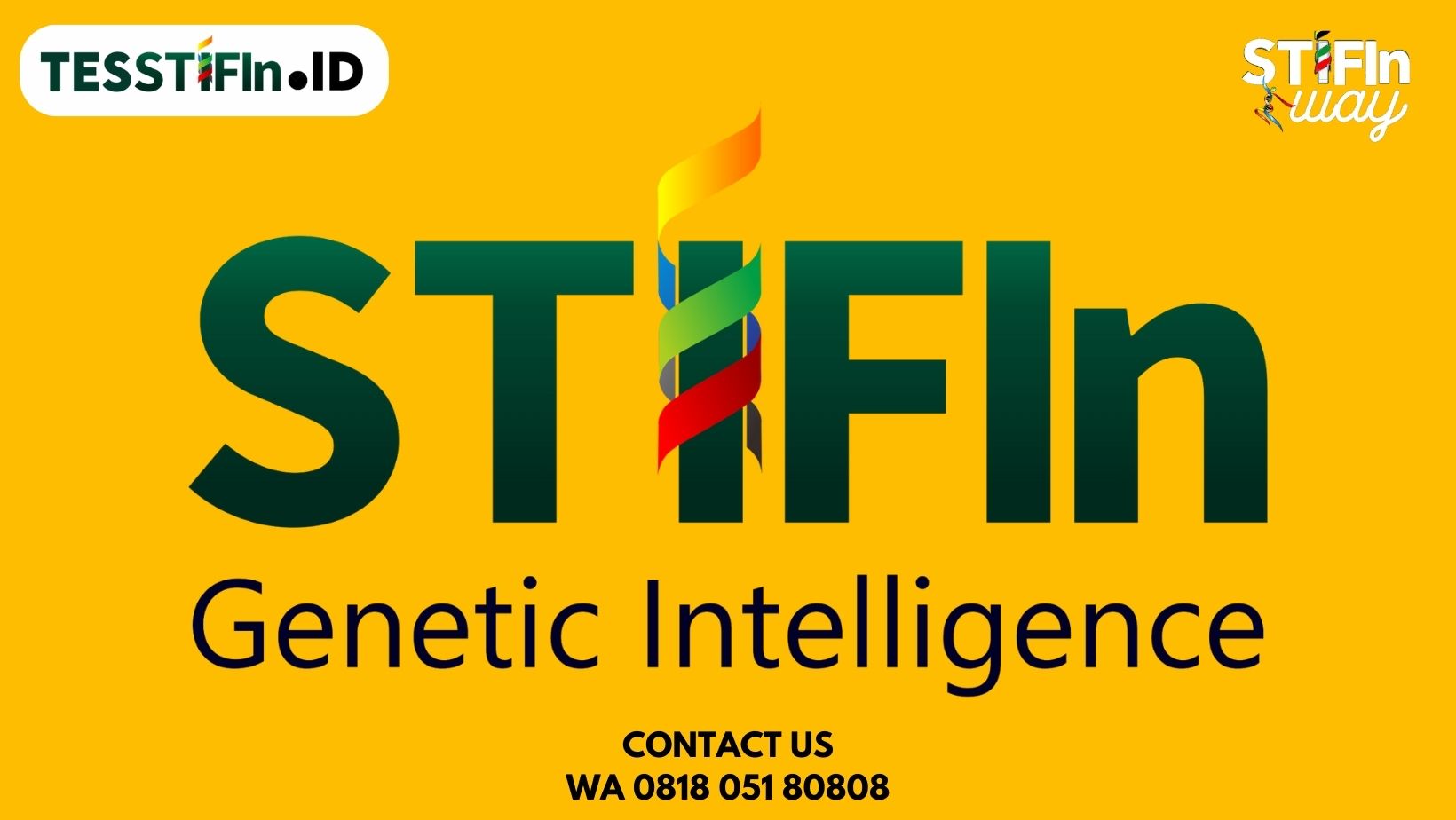 Promotor STIFIn Genetic Intelligence 081805180808 - tesstifin.id