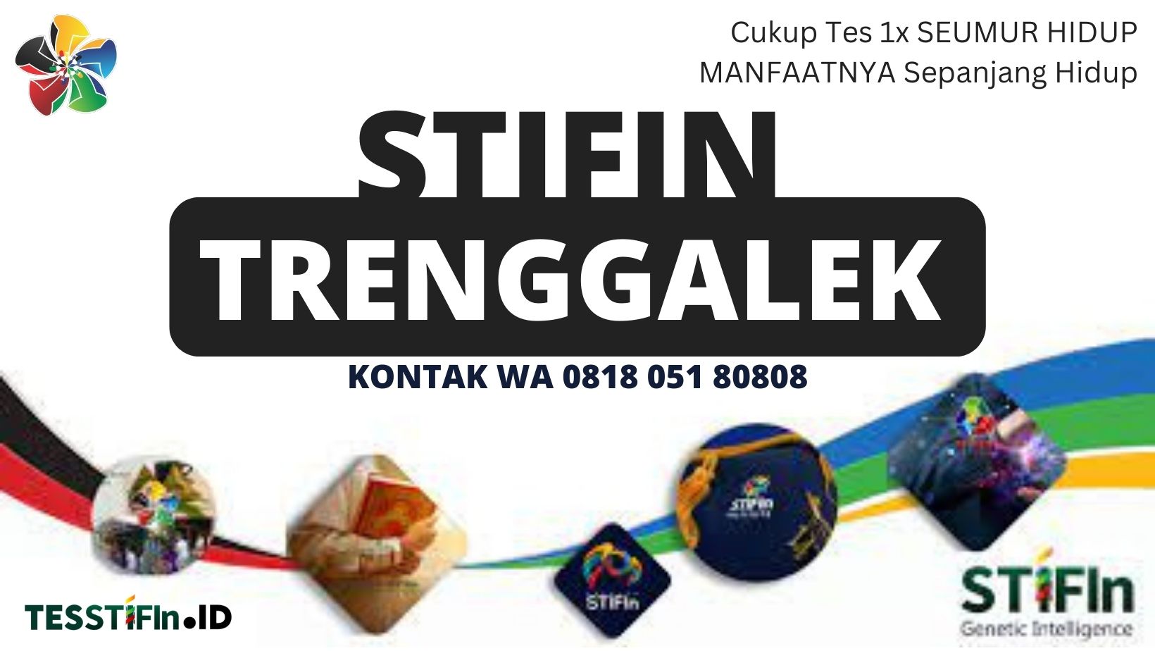 STIFIn Trenggalek 081805180808 Jawa Timur tesstifin.id  - STIFIn Trenggalek Jawa Timur