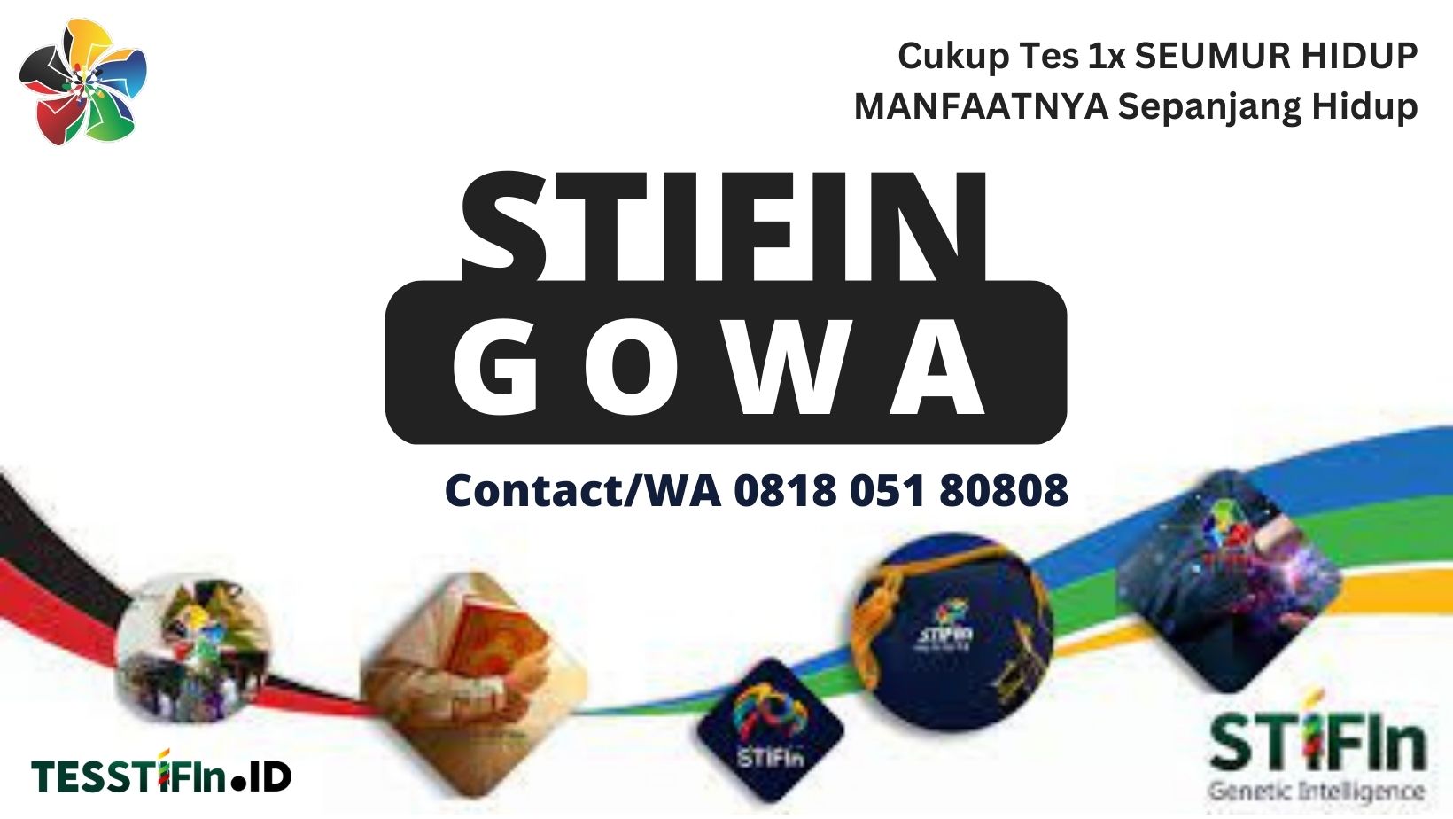 STIFIn Gowa 081805180808 sulawesi selatan tesstifin.id  - STIFIn Gowa Sulawesi Selatan