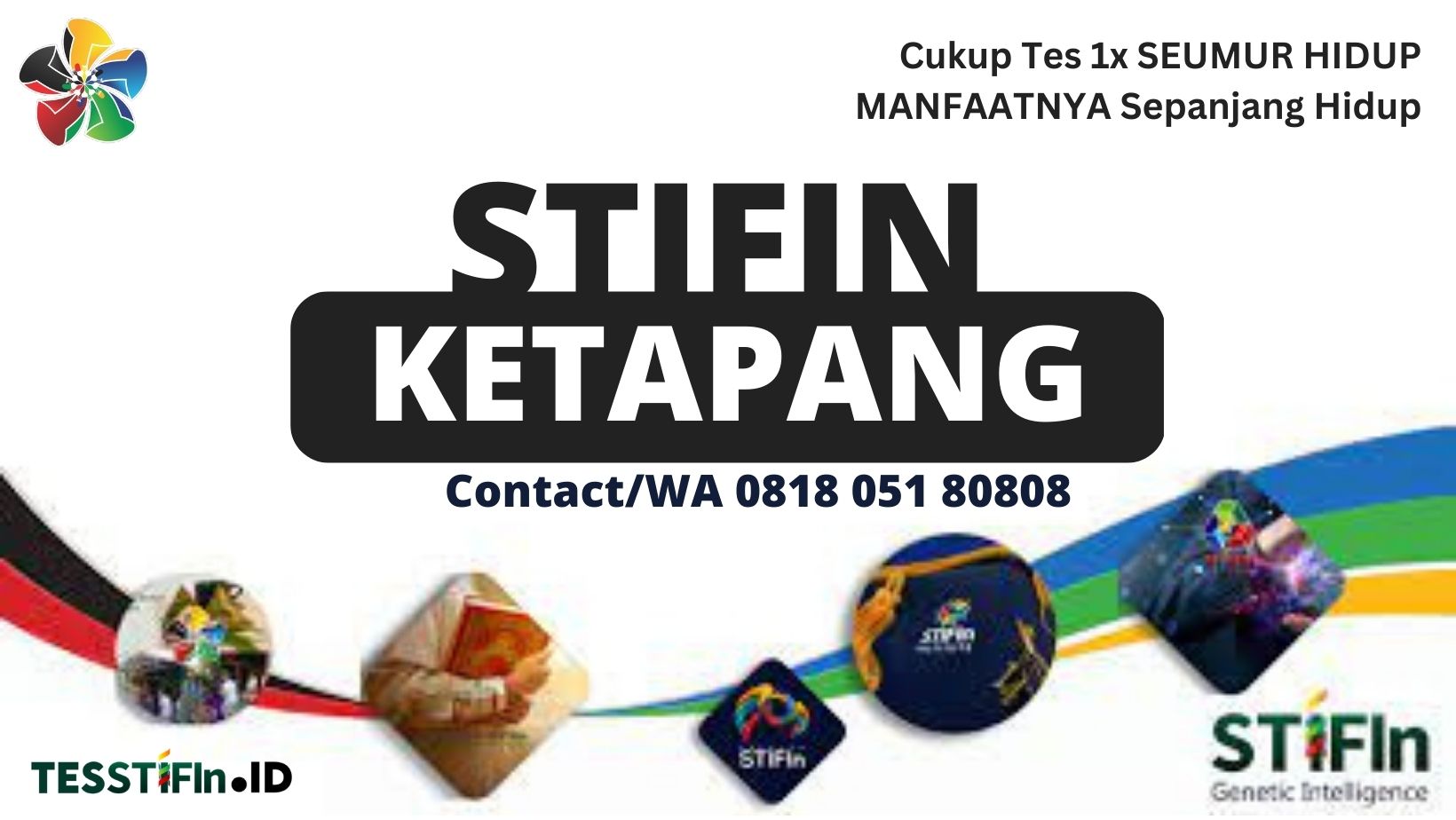 STIFIn Ketapang 081805180808 Kalimantan Barat tesstifin.id  - STIFIn Kendawangan Ketapang
