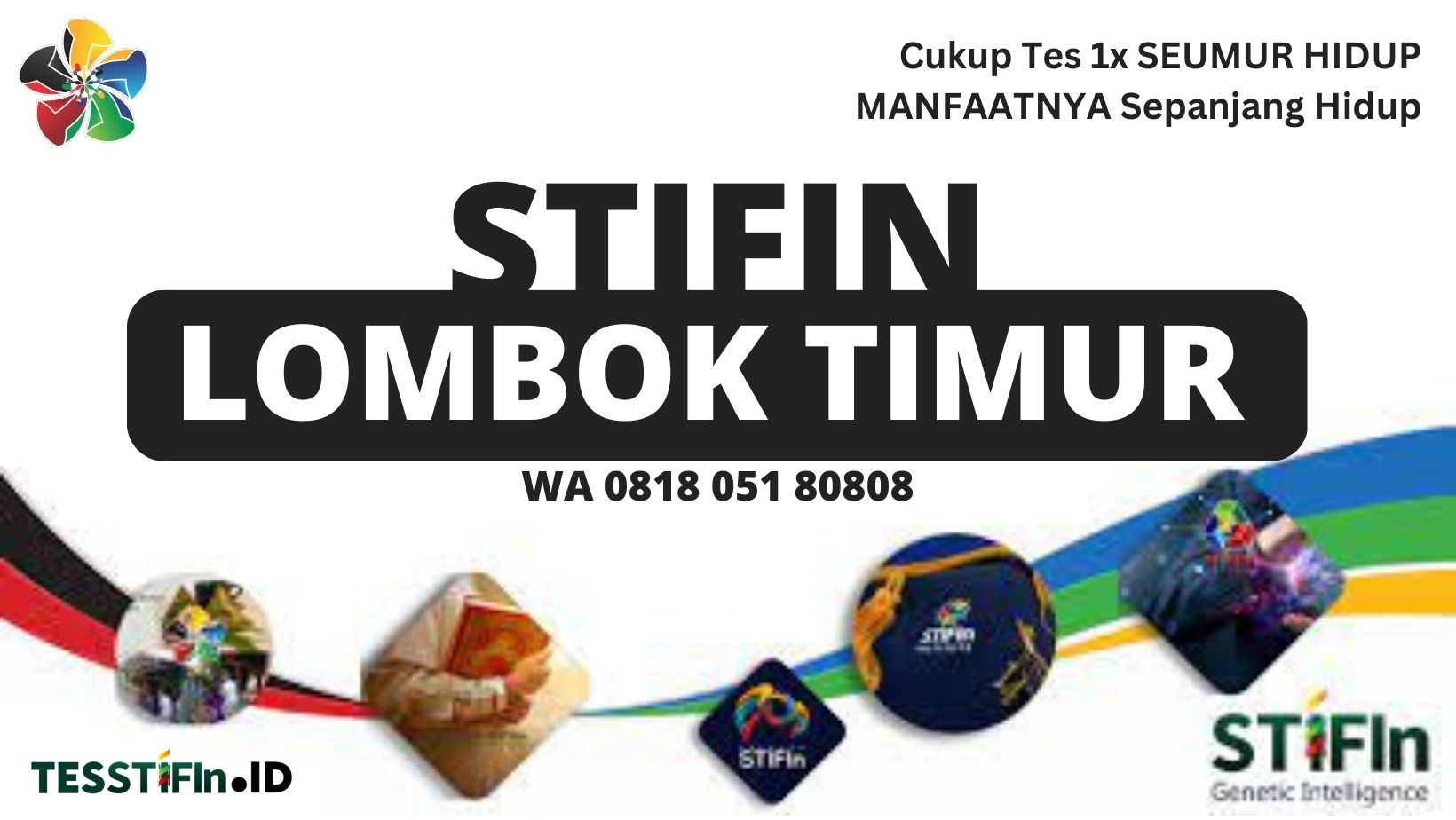 STIFIn Lombok Timur NTB 081805180808 tesstifin.id  - STIFIn Masbagik Lombok Timur