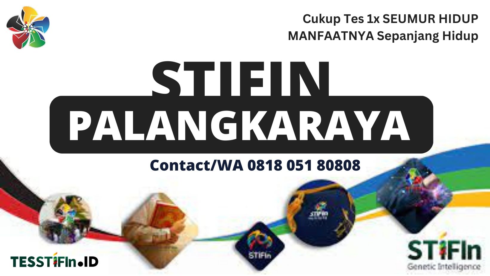 STIFIn Palangkaraya 081805180808 Kalimantan Tengah tesstifin.id  - STIFIn Bukit Batu Palangkaraya