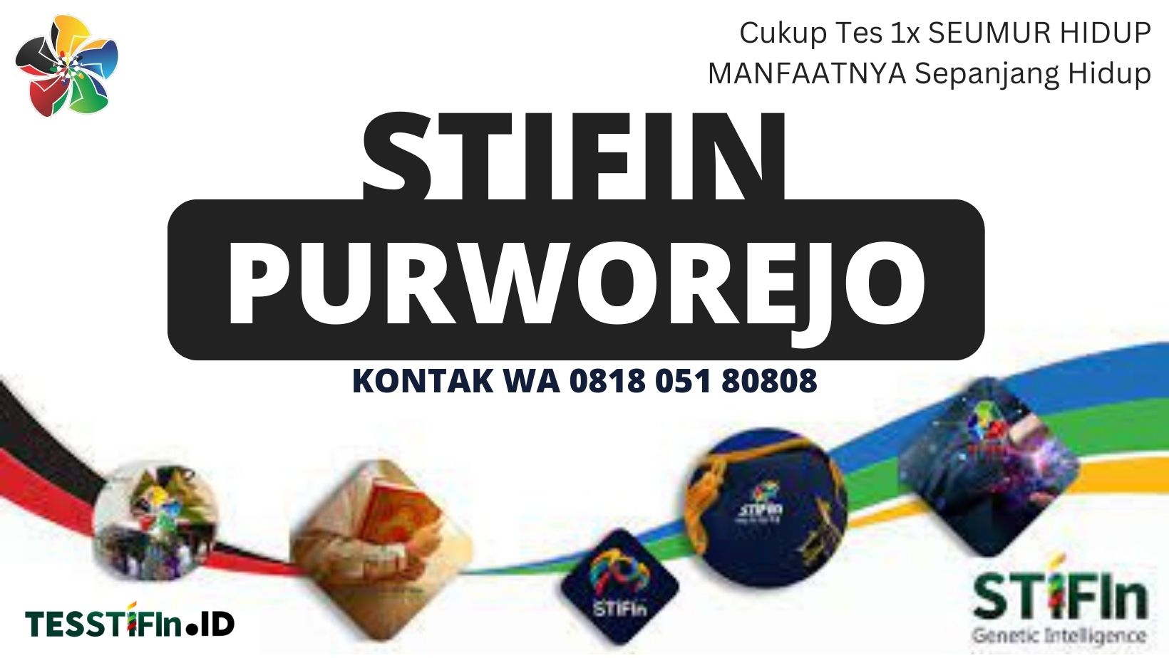 STIFIn Purworejo Jawa Timur 081805180808 tesstifin.id  - STIFIn Bayan Purworejo