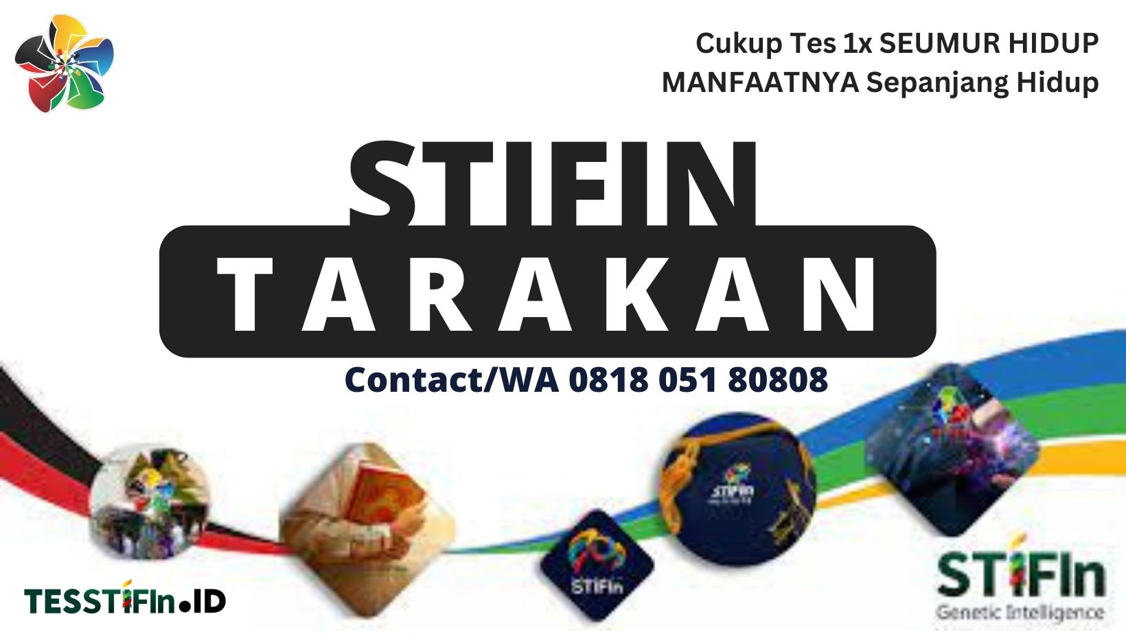 STIFIn Tarakan 081805180808 Kalimantan Utara tesstifin.id  - STIFIn Tarakan Barat