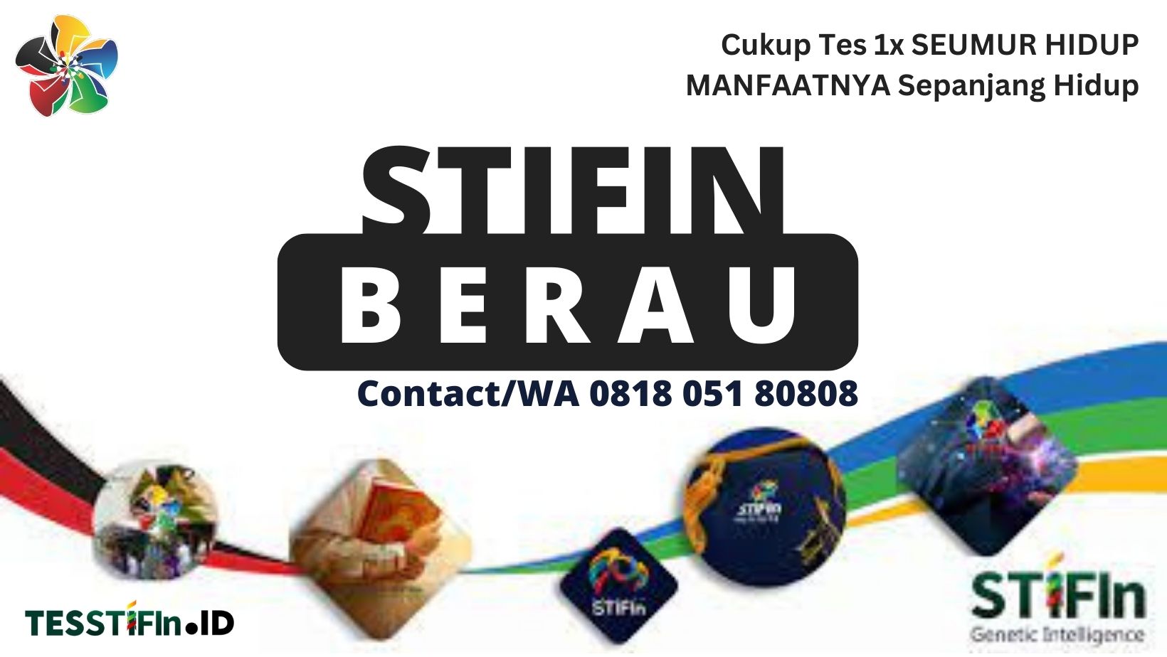 STIFIn Berau 081805180808 Kalimantan Timur tesstifin.id  - STIFIn Berau Kaltim