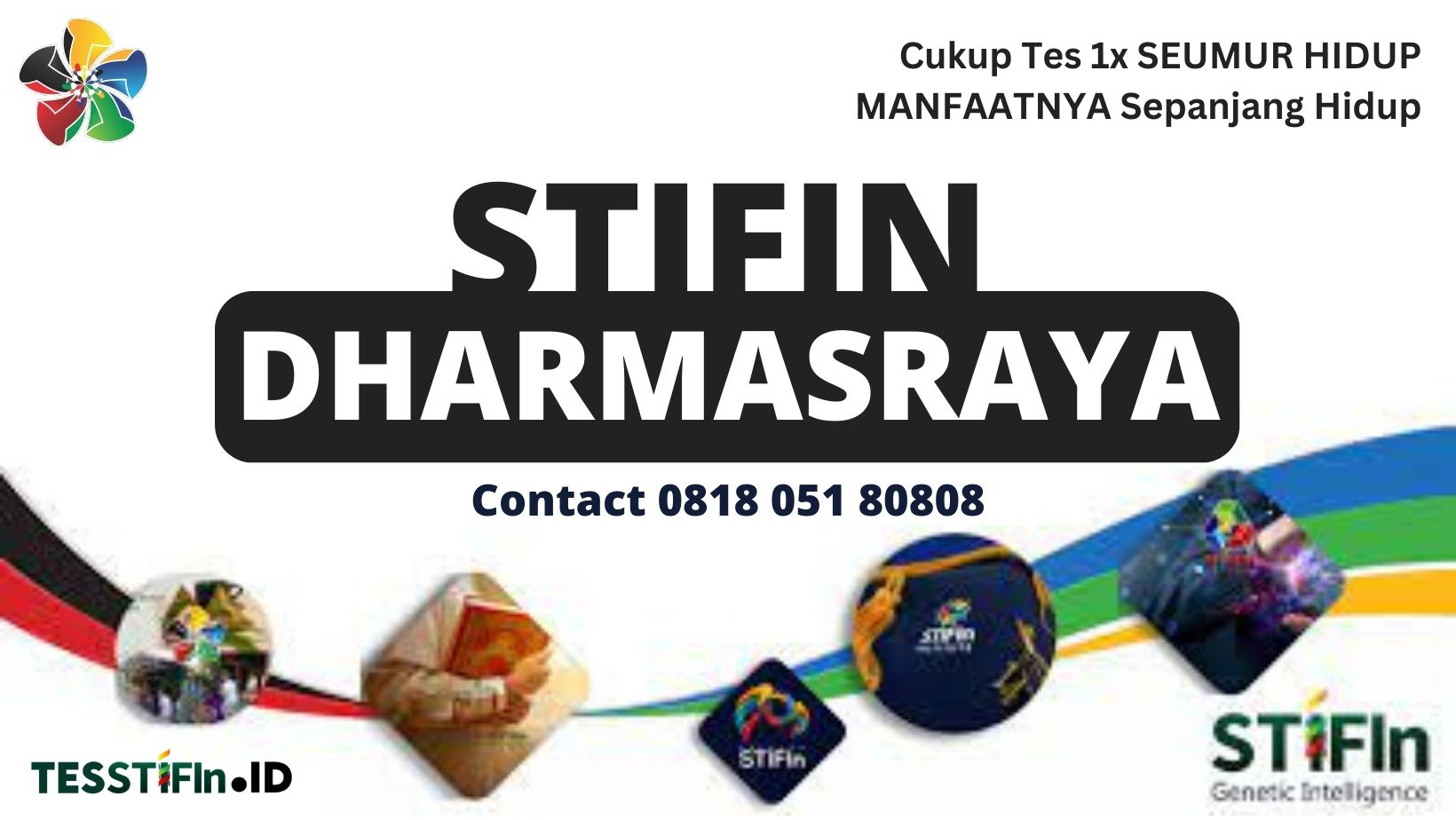 STIFIn DHARMASRAYA 081805180808 sumatera barat tesstifin.id  - STIFIn Dharmasraya Sumatera Barat