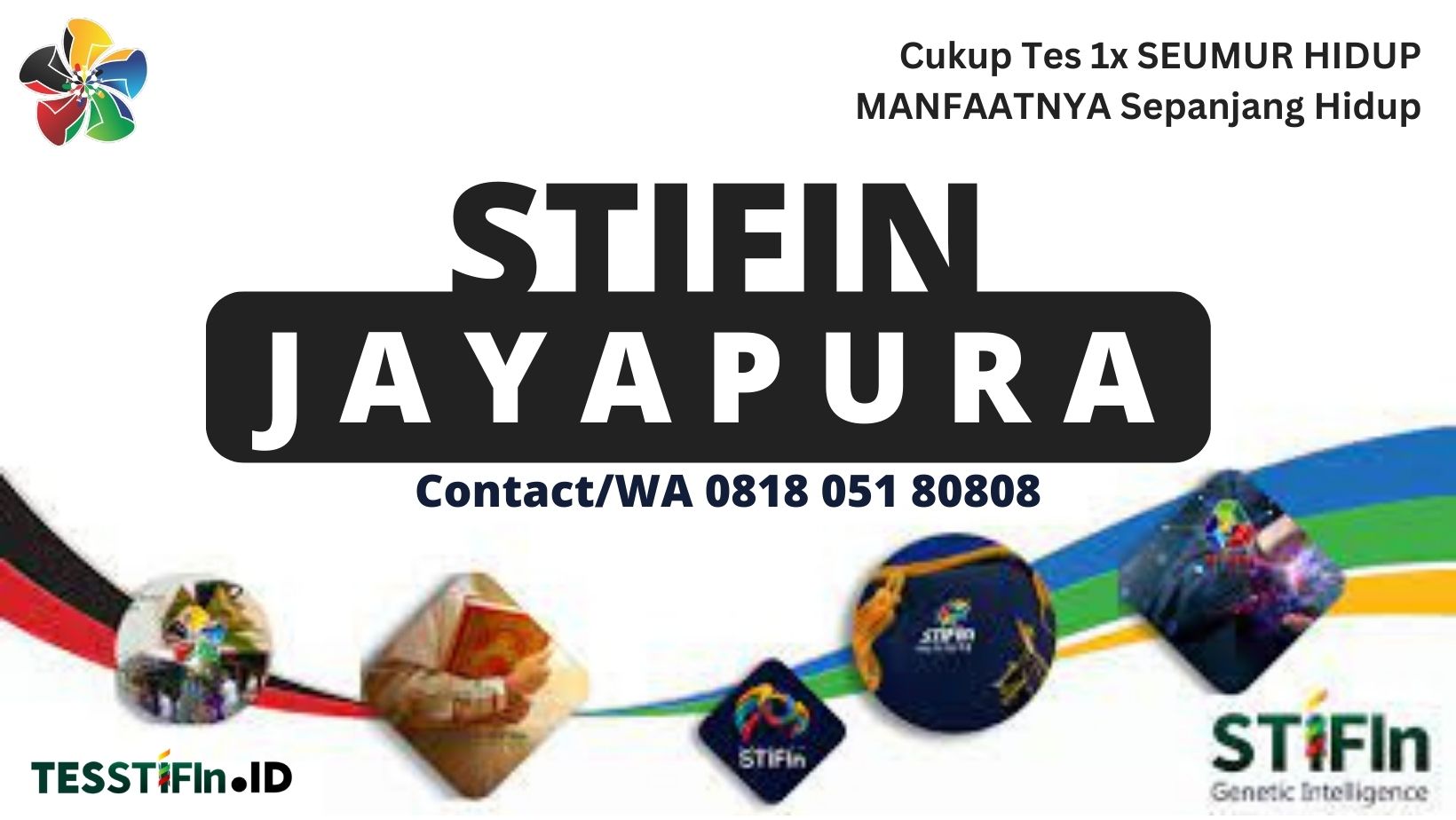 STIFIn Jayapura 081805180808 Papua tesstifin.id  - STIFIn Sentani Jayapura