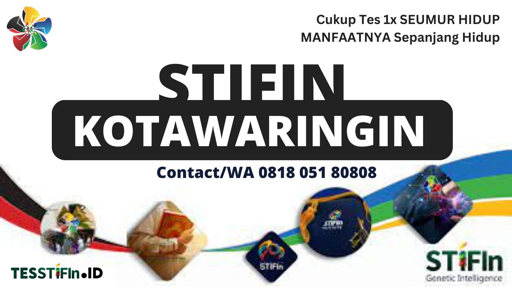STIFIn Kotawaringin Barat Timur 081805180808 Kalteng tesstifin.id  - STIFIn Mentawa Baru Ketapang Kotawaringin Timur