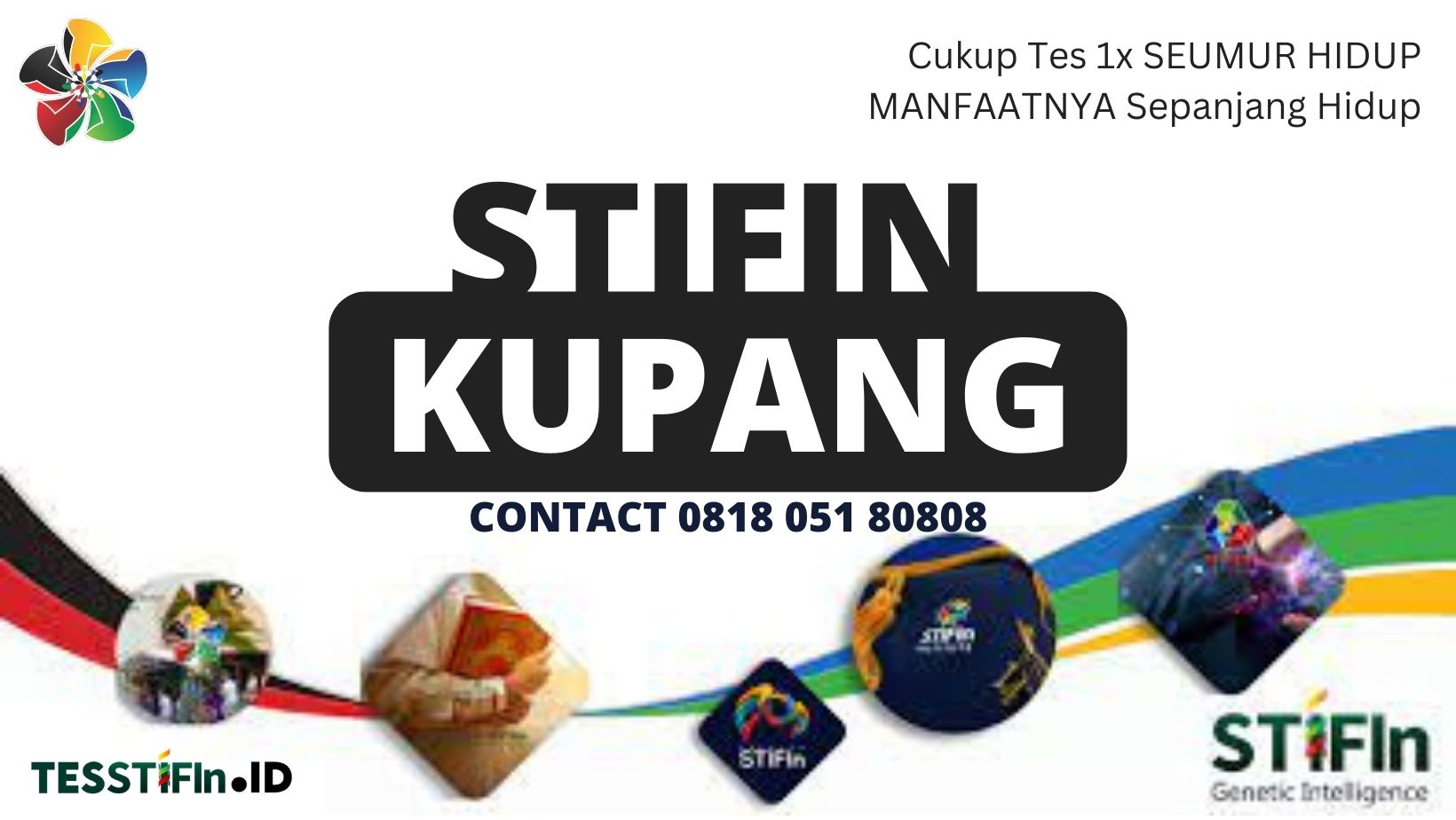 STIFIn Kupang Nusa Tenggara Timur 081805180808 tesstifin.id  - STIFIn Kupang NTT