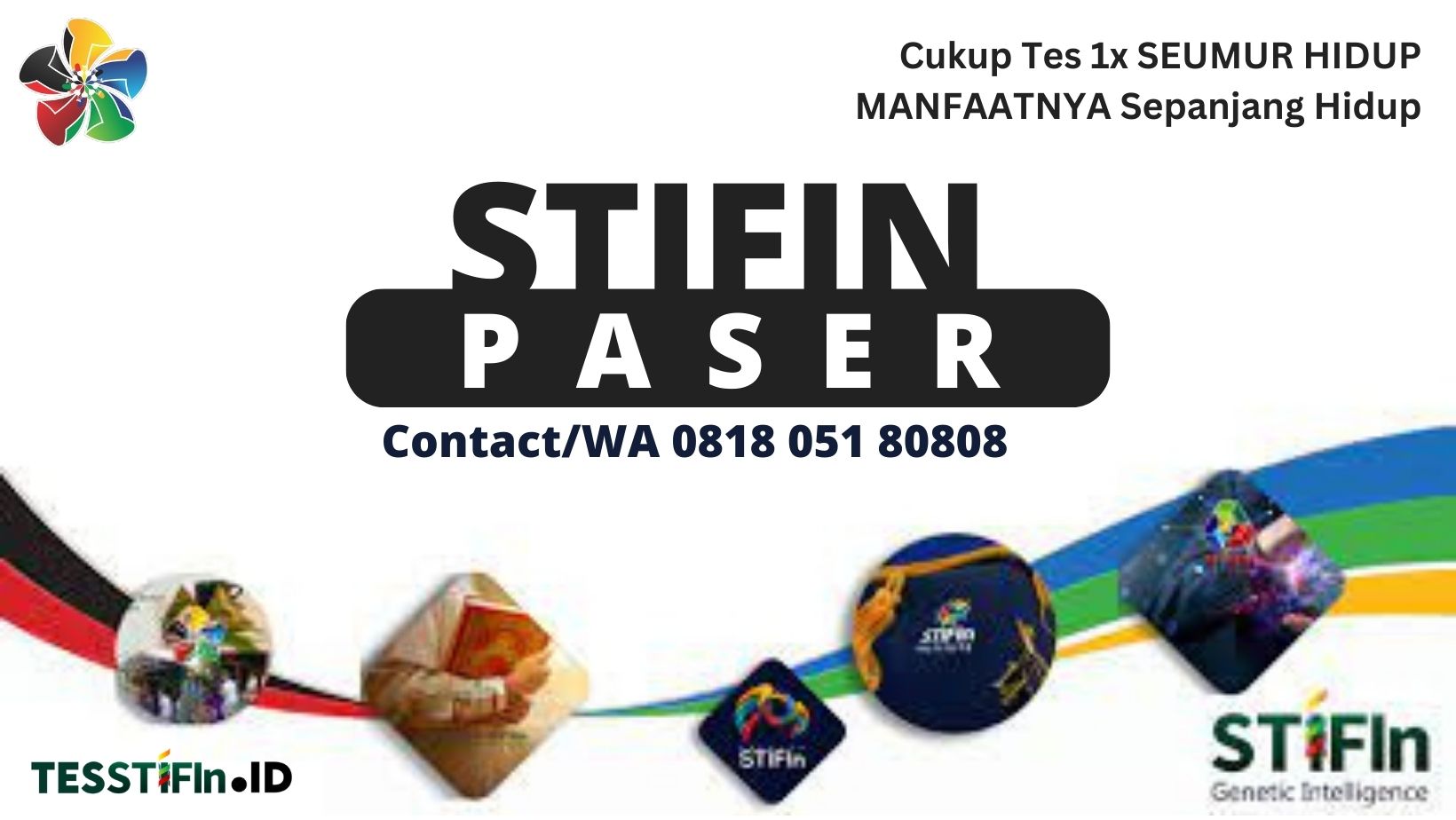 STIFIn Paser 081805180808 Kalimantan Timur tesstifin.id  - STIFIn Kuaro Paser