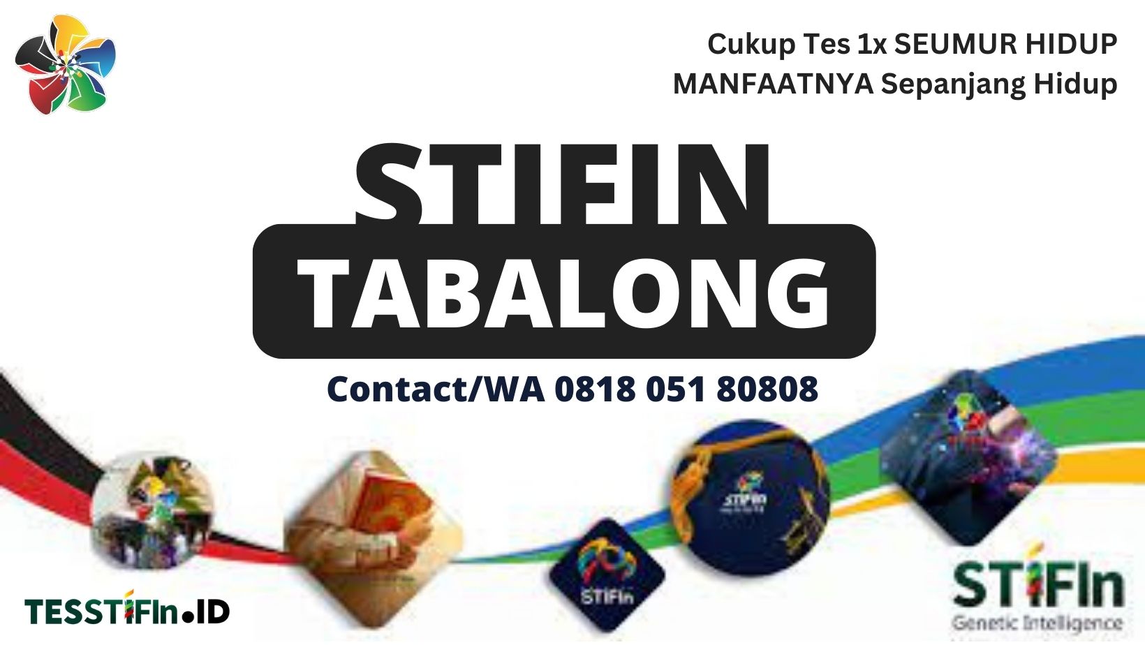STIFIn Tabalong 081805180808 Kalsel tesstifin.id  - STIFIn Muara Uya Tabalong