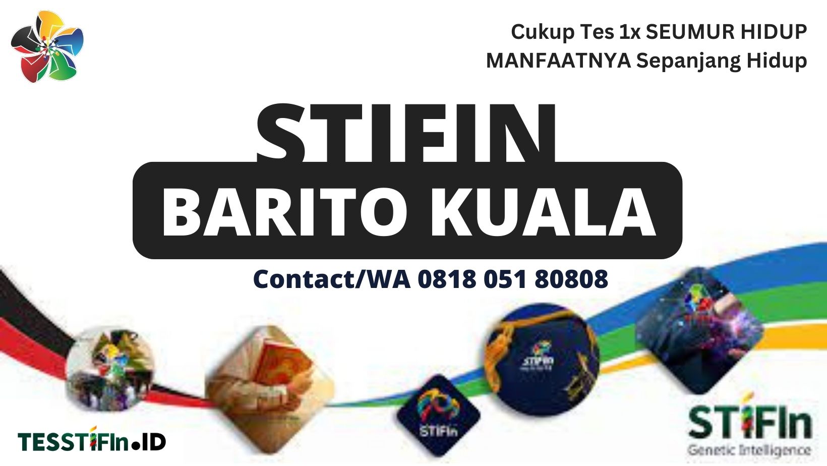 STIFIn Barito Kuala 081805180808 Kalsel tesstifin.id  - STIFIn Bakumpai Barito Kuala