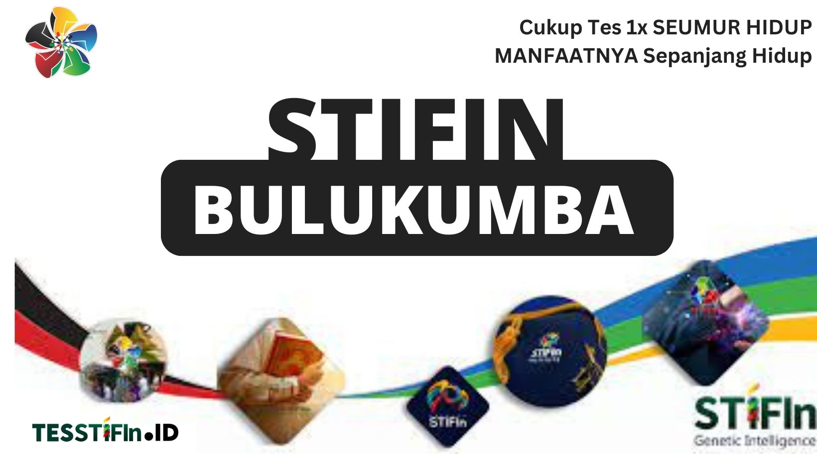 STIFIn Bulukumba Sulawesi Selatan 081805180808 tesstifin.id  - STIFIn Bulukumba Sulsel