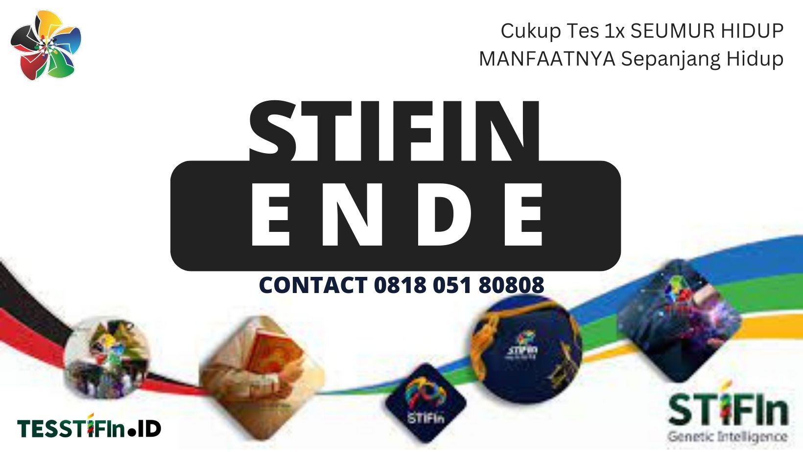 STIFIn Ende Flores NTT 081805180808 tesstifin.id  - STIFIn Ende Flores NTT