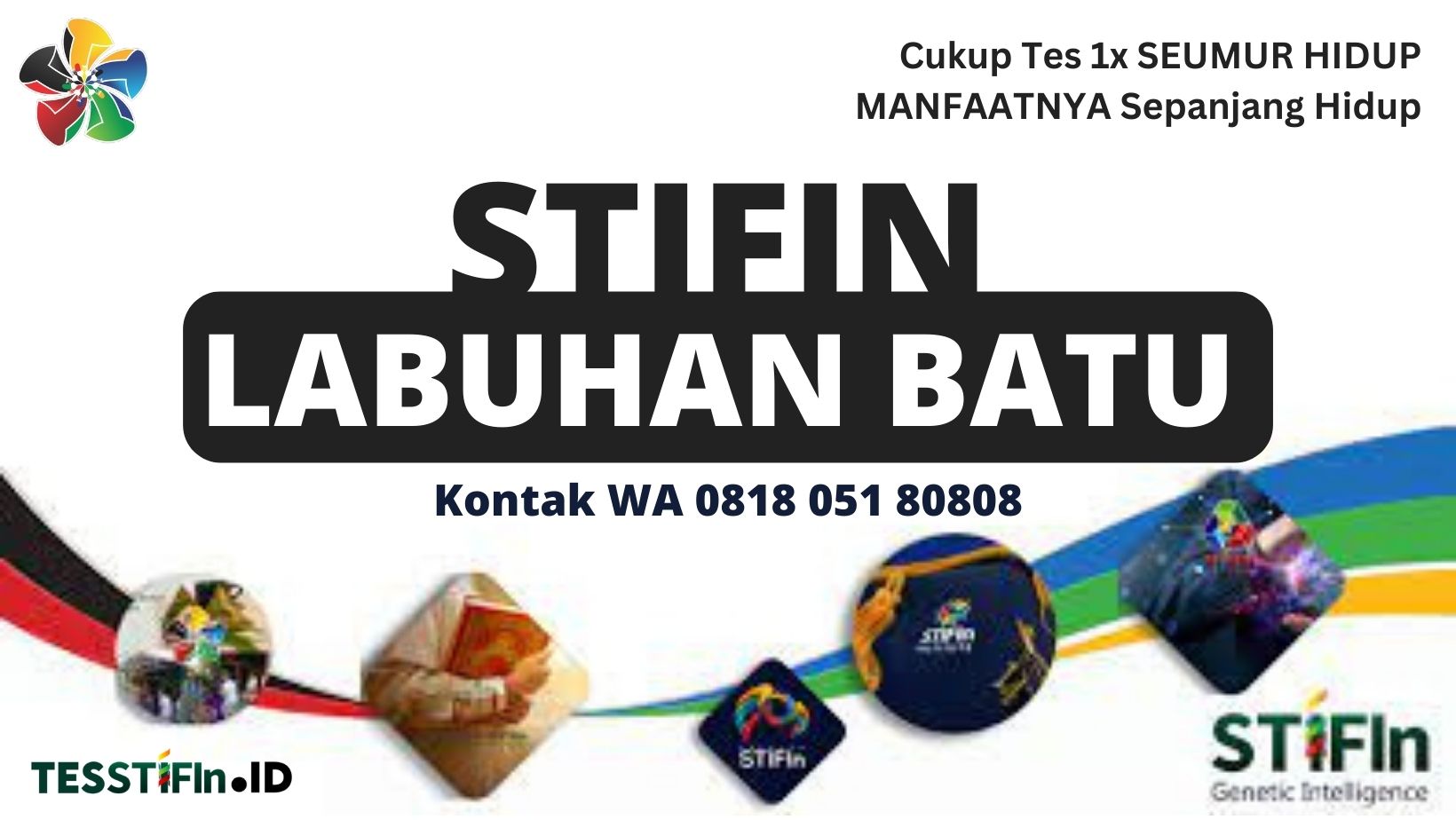 STIFIn Labuhan Batu 081805180808 Sumatera Utara tesstifin.id  - STIFIn Labuhan Batu Sumut