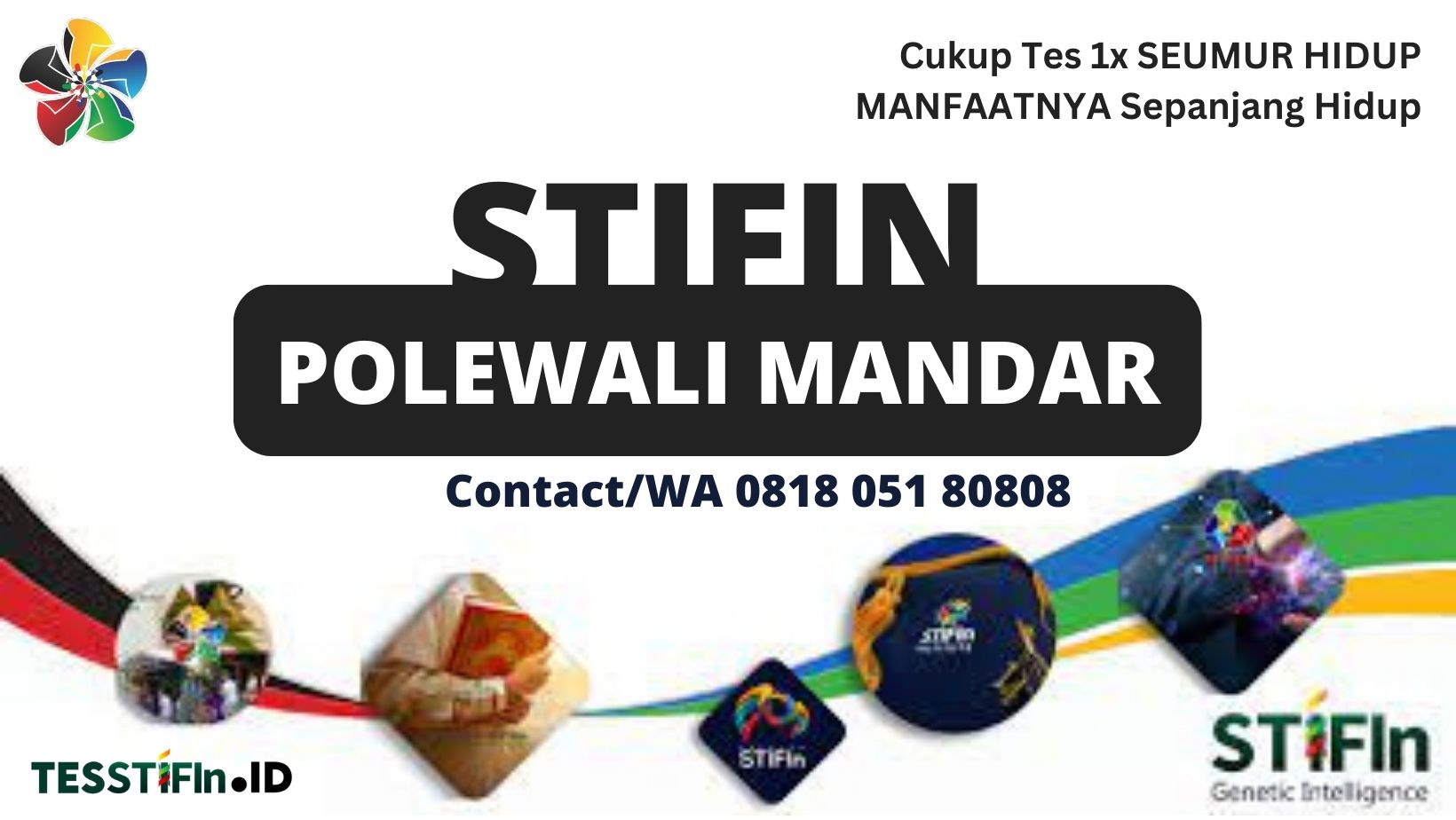 STIFIn Polewali Mandar 081805180808 Sulawesi Barat tesstifin.id  - STIFIn Polewali Mandar Sulawesi Barat