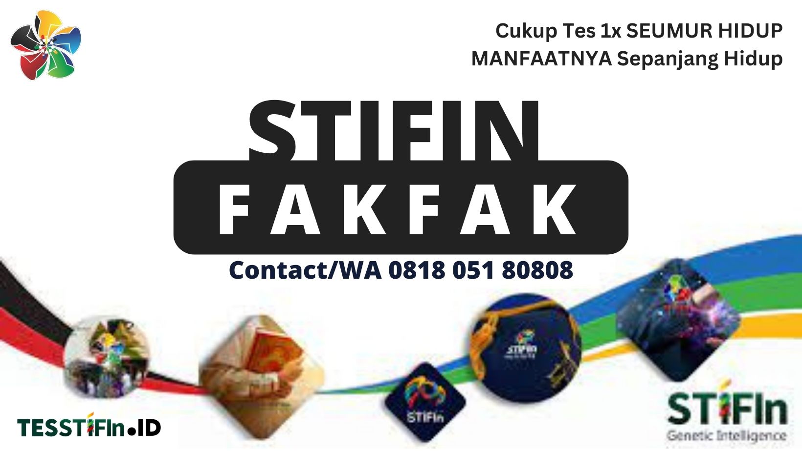 STIFIn Fakfak Papua Barat 081805180808 tesstifin.id  - STIFIn Fakfak Papua Barat
