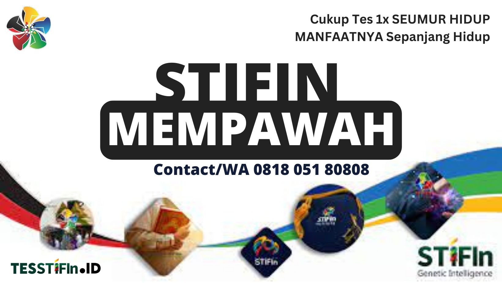 STIFIn Mempawah Kalimantan Barat 081805180808 tesstifin.id  - STIFIn Mempawah
