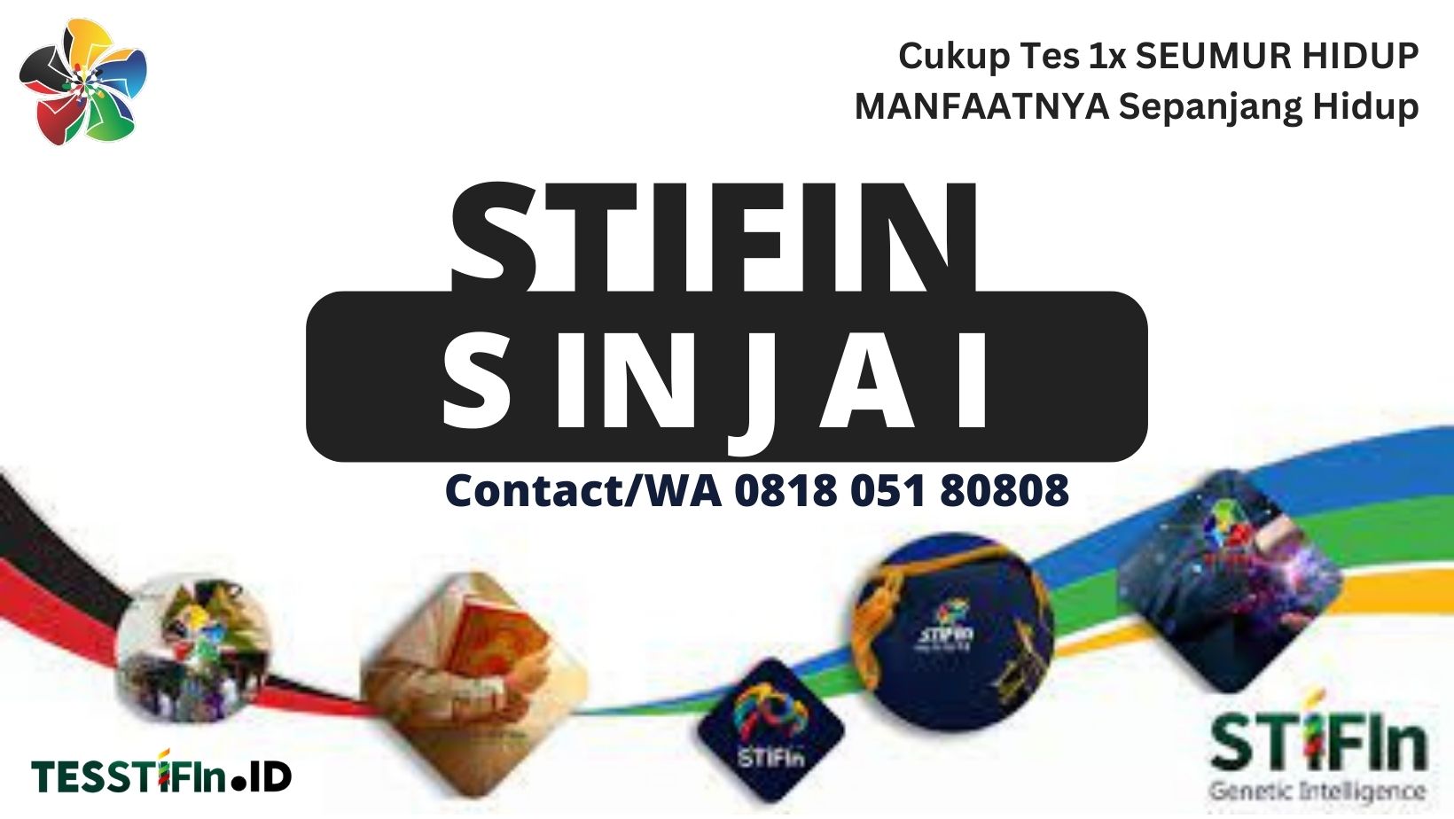 STIFIn Sinjai Sulawesi Selatan 081805180808 tesstifin.id  - STIFIn Sinjai Sulawesi Selatan