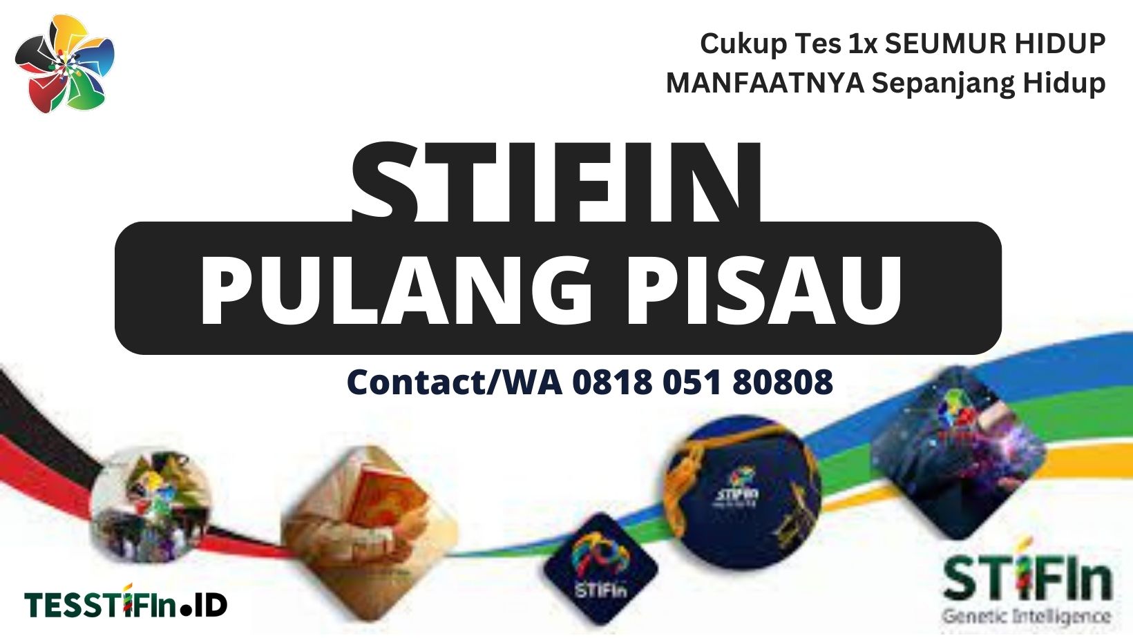 STIFIn Pulang Pisau Kalteng 081805180808 tesstifin.id  - STIFIn Pulang Pisau Kalteng