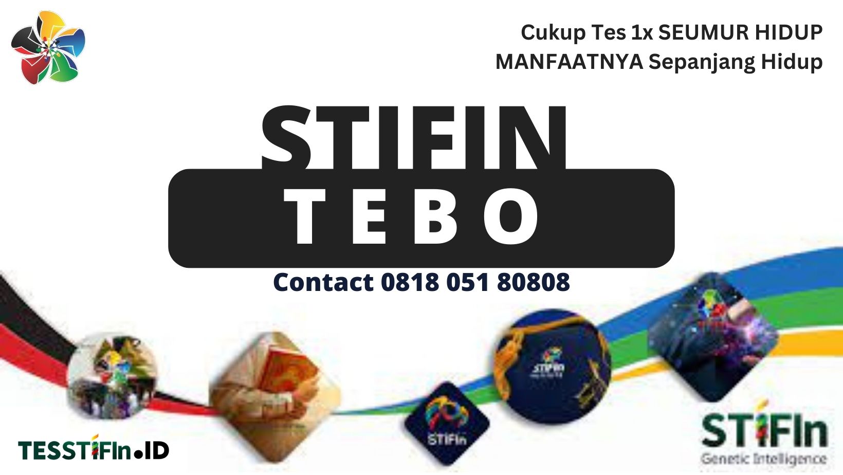 STIFIn Tebo Jambi 081805180808 tesstifin.id  - STIFIn Tebo Jambi