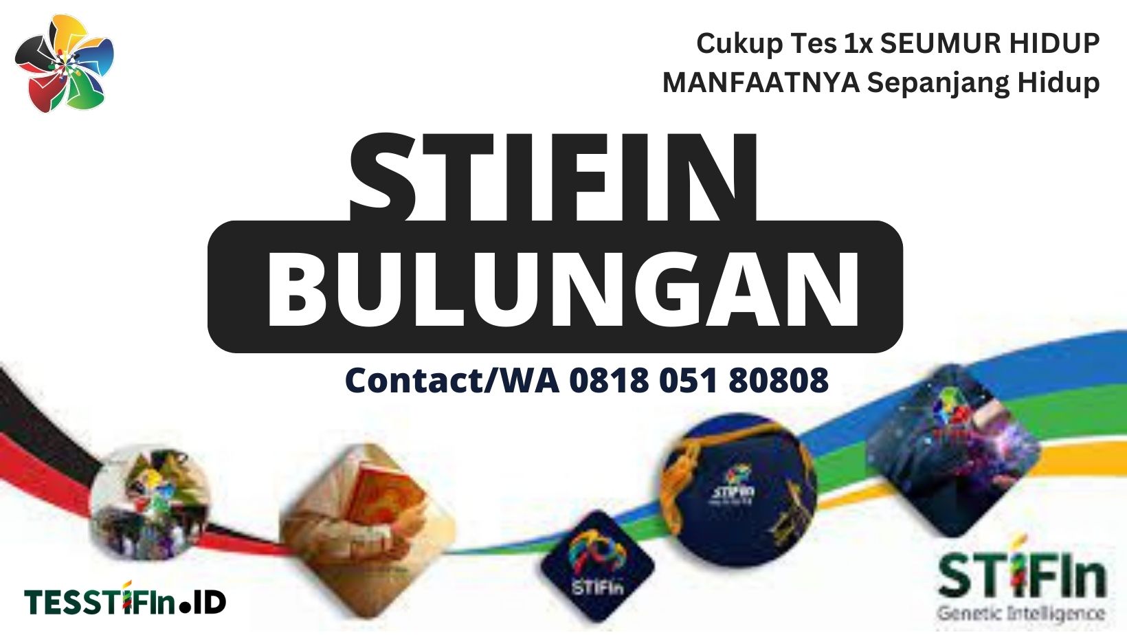STIFIn Bulungan Kalimantan Utara 081805180808 tesstifin.id  - STIFIn Bulungan Kalut