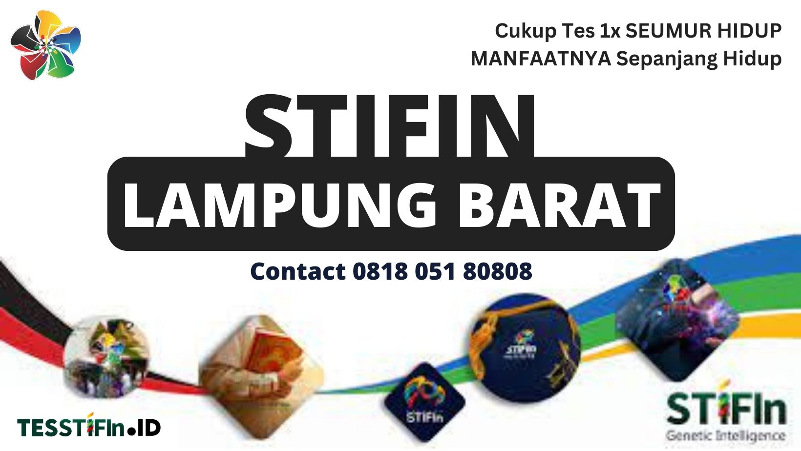 STIFIn Lampung Barat 081805180808 tesstifin.id  - STIFIn Balik Bukit Lampung Barat