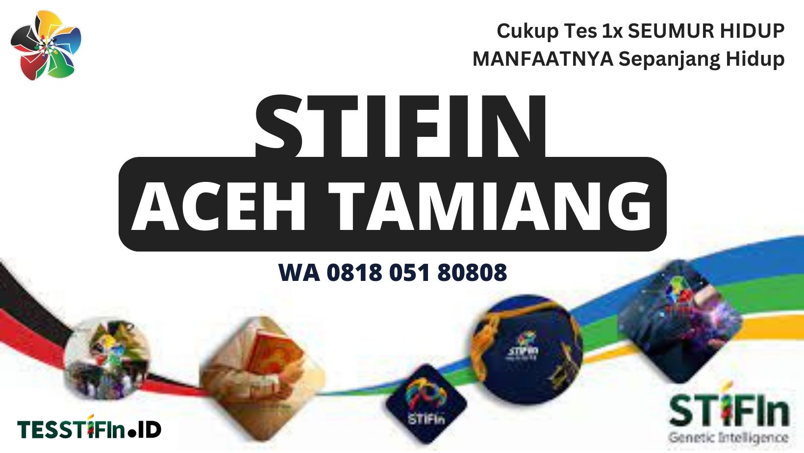 STIFIn Aceh Tamiang 081805180808 tesstifin.id  - STIFIn Aceh Tamiang