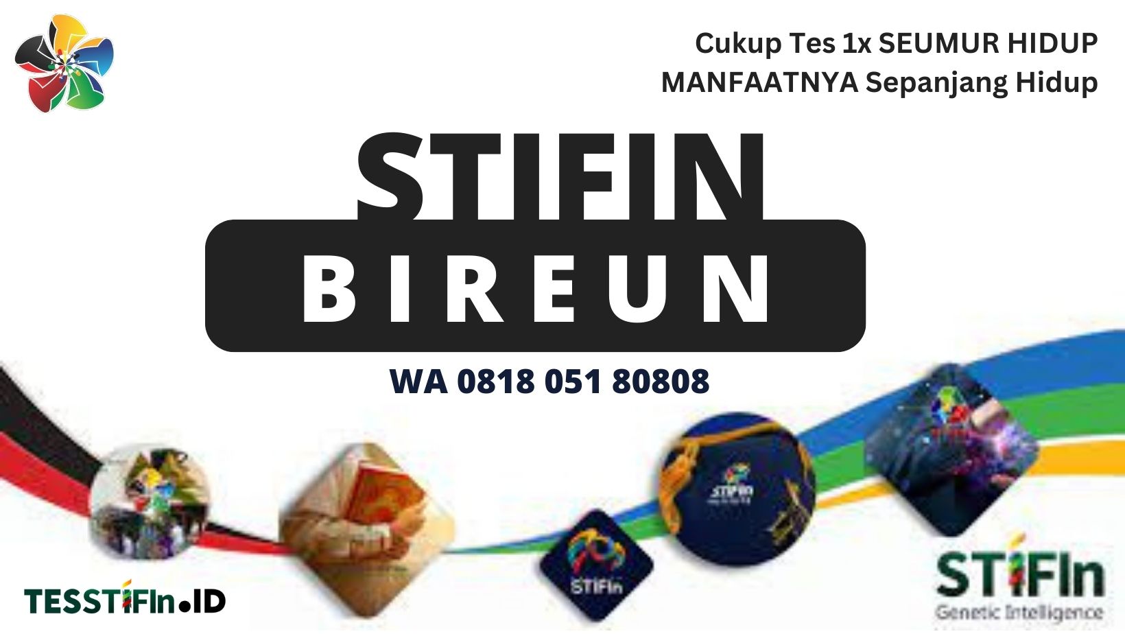 STIFIn Bireun Aceh 081805180808 tesstifin.id  - STIFIn Bireun Aceh