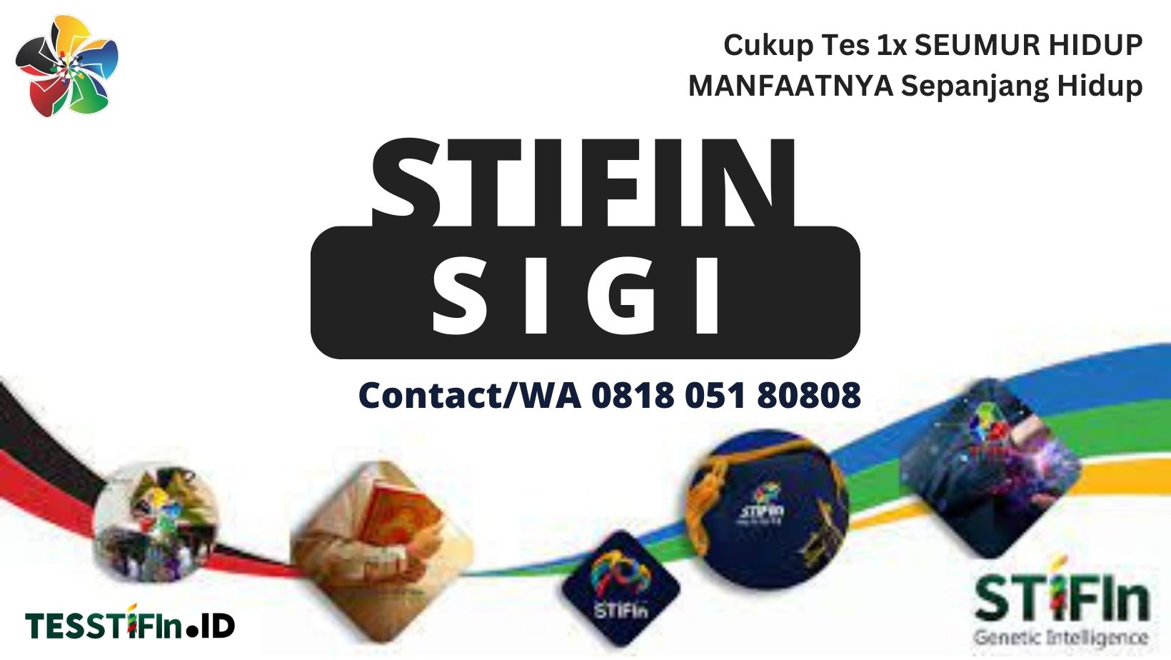 STIFIn Sigi Sulawesi Tengah 081805180808 tesstifin.id 1 1 - STIFIn Sigi