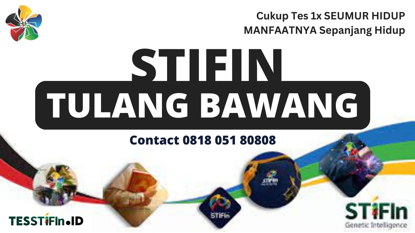 STIFIn Tulang Bawang 081805180808 tesstifin.id  - STIFIn Tulang Bawang Lampung