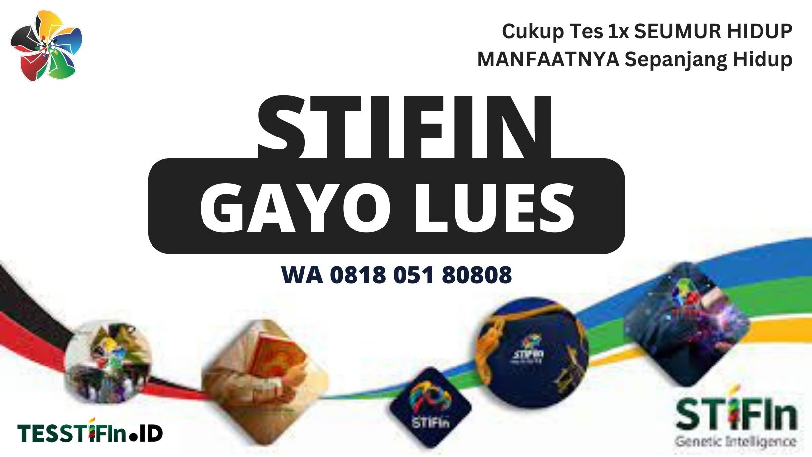 STIFIn Gayo Lues Aceh 081805180808 tesstifin.id  - STIFIn Gayo Lues