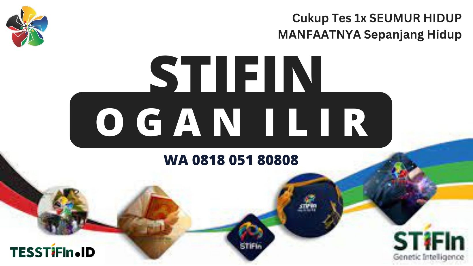 STIFIn Ogan Ilir Sumatera Selatan 081805180808 tesstifin.id  - STIFIn Ogan Ilir
