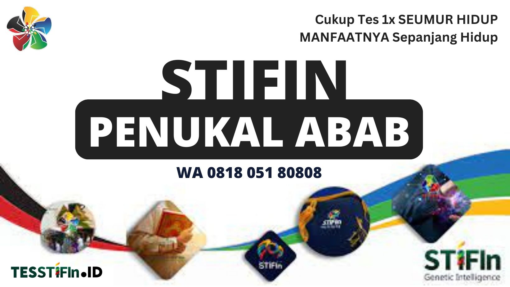 STIFIn Penukal Abab Lematang Ilir Sumatera Selatan 081805180808 tesstifin.id  - STIFIn Penukal Abab