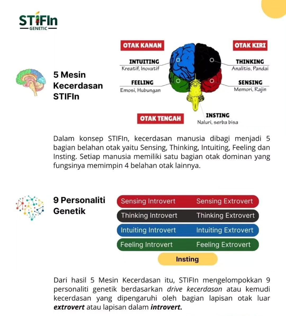 STIFIn Genetic Jakarta Tangerang Bekasi Depok Bogor 081805180808